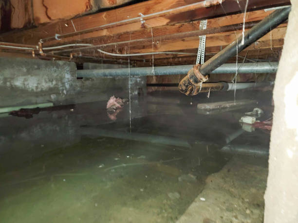 Best Flood damage cleanup  in Delano, CA