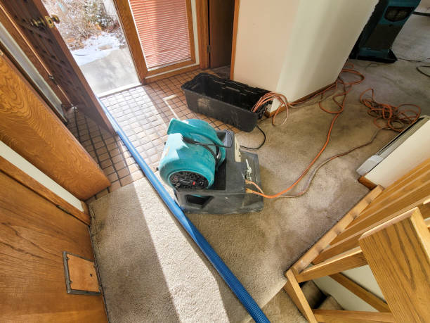Best Flood damage cleanup  in Delano, CA