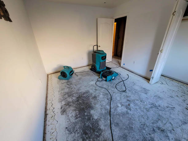 Best Water damage cleanup near me  in Delano, CA