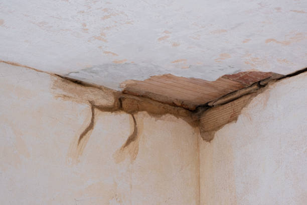 Trusted Delano, CA Water damage restoration Experts