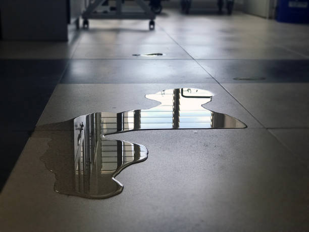 Best Water damage restoration near me  in Delano, CA