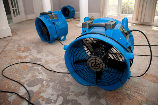 Best Flooded house restoration  in Delano, CA