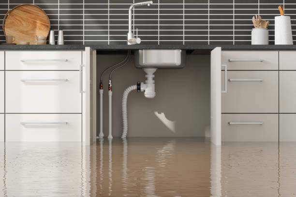 Best Water damage contractors near me  in Delano, CA